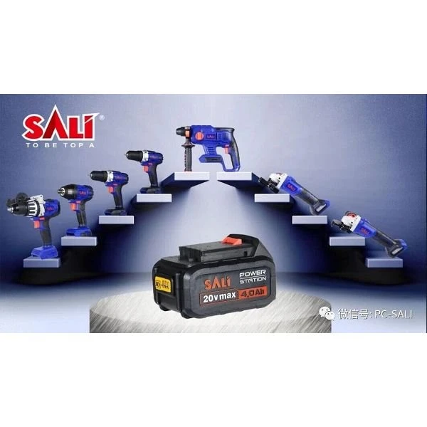 Lion Battery With Charging Adapter